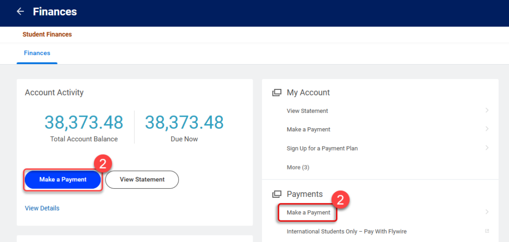 Select "Make a Payment" under the Account Activity or Payments areas.