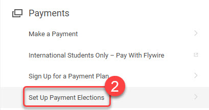 Click the Set Up Payment Elections link to view the Payment Elections you have already set up