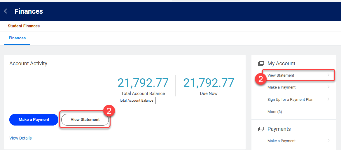 Select "View Statement" under "Account Activity" or "My Account."