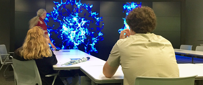 Interns participated in a demonstration of the new research visualization lab in Carlson Library.
