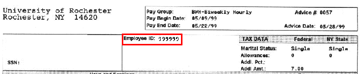 how do i find my nys employee id number