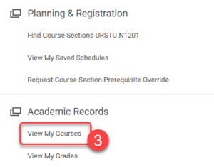 Click the View My Courses under the Academic Records section.