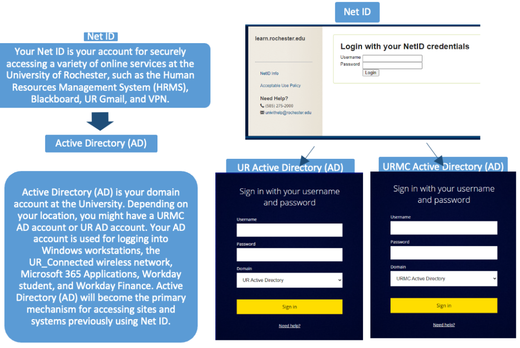 Login Differences for NetID and AD