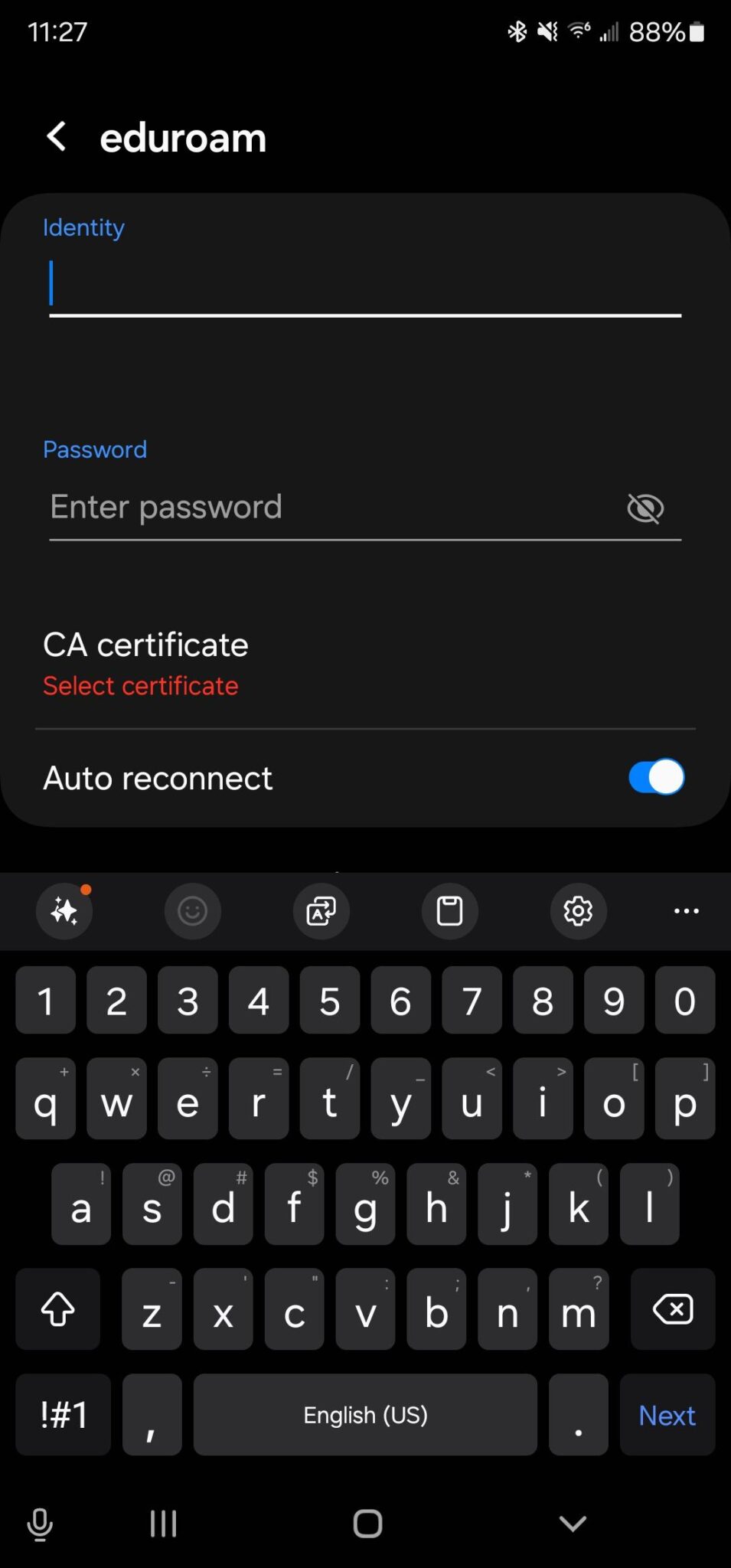 Initial Network Entry Screen